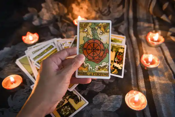 tarot cards Springs